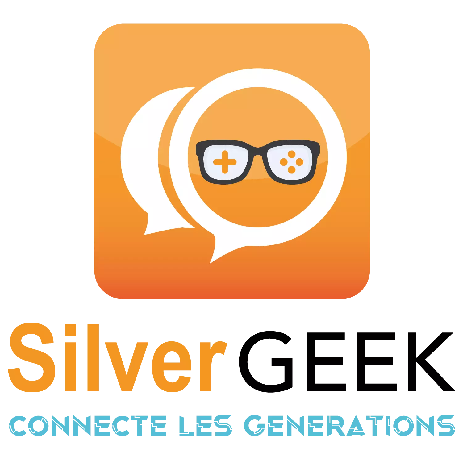 SILVER GEEK